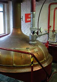 Ambre Image