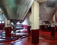 Ambre Image