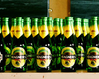 Magners Pear Image